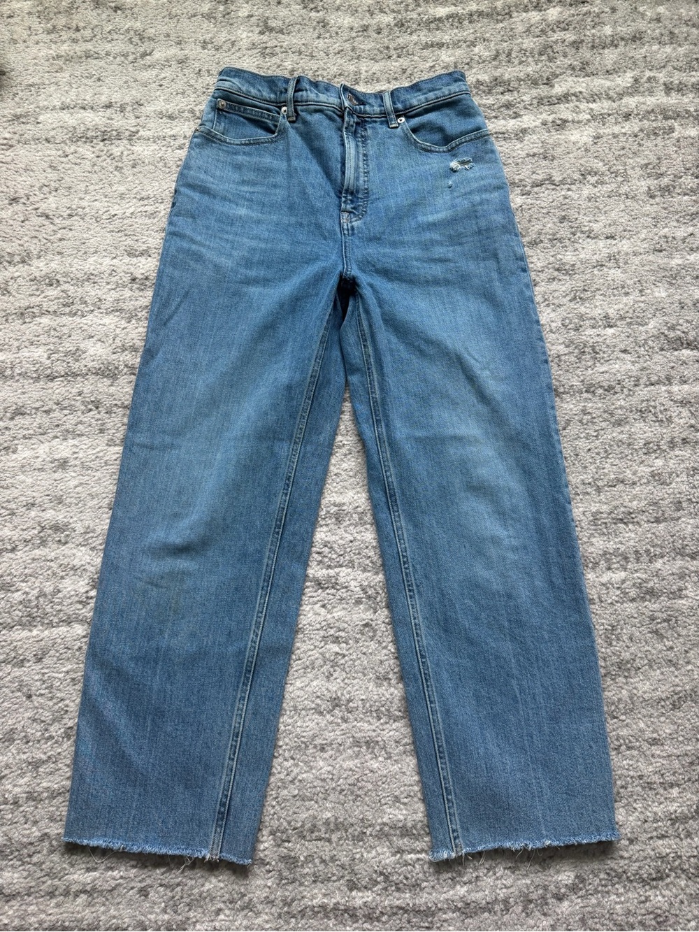 Everlane The Way-High Jean Size 27 Regular Cropped Raw Hem Straight Leg Jeans